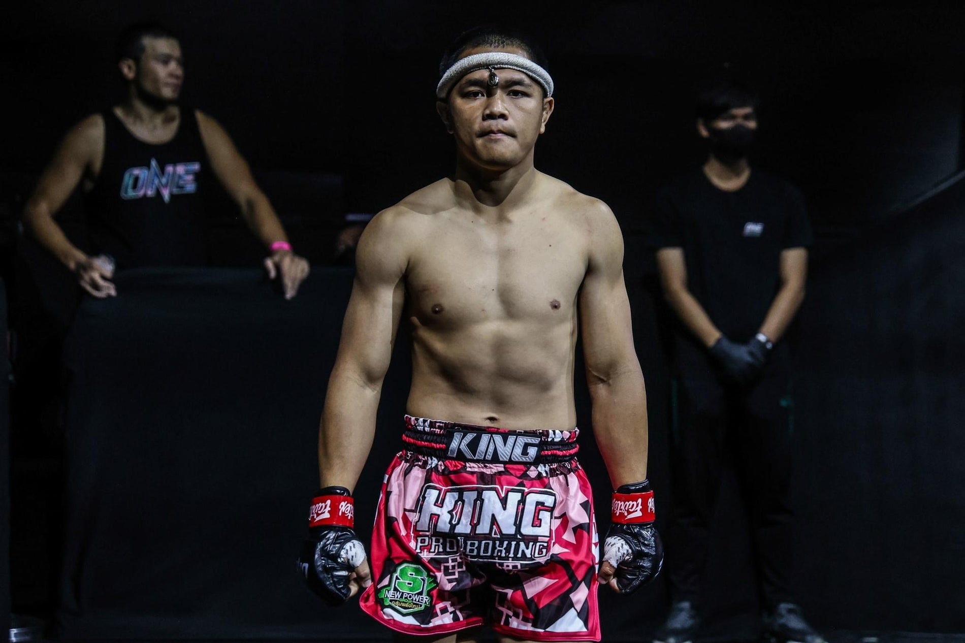 Powerhouse gyms in Onefc Lumpinee
